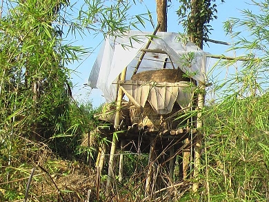 Rice storage