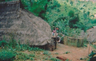 Akha and Shan villages