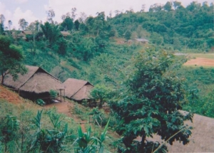 Shan State Army - South (SSA-S)