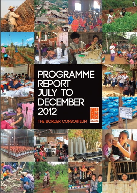TBC Programme report July to December 2012