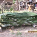 Govt Militia Continue to Use Villagers As Forced Labor in Karen State