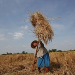 Farmers Across Burma Ask Thein Sein for Help