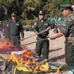 Ta’ang (Palaung) Leader’s Message to the International Community: ‘Come and See the Real Picture in Our Areas’