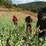 Opium, Logging and Gas: The Burma Army’s Predatory Rule Over the People of Burma