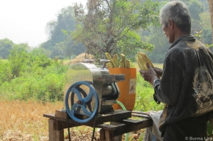 sugar cane juice