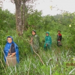 Accessible Education for Burma’s Ethnic Children – Would You Walk Four Hours to Go to School?