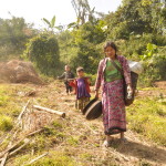 Opium Production Spreads to Chin State