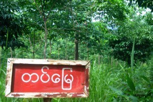 GanTaw-Army-Land-Signboard-12-1-300x200-300x200