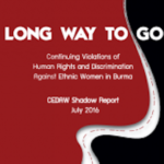 CEDAW Shadow Report: Long Way To Go