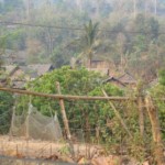 Suicide Attempts Increase at Mae La Refugee Camp