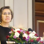 UN Human Rights Envoy Piles Pressure on Govt in Latest Burma Critique