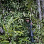 RCSS and Combined Troops of TNLA SSPP Clash near Hsipaw Loi Lam Mountain